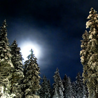 Cold Night in Girdwood Alaska-0760