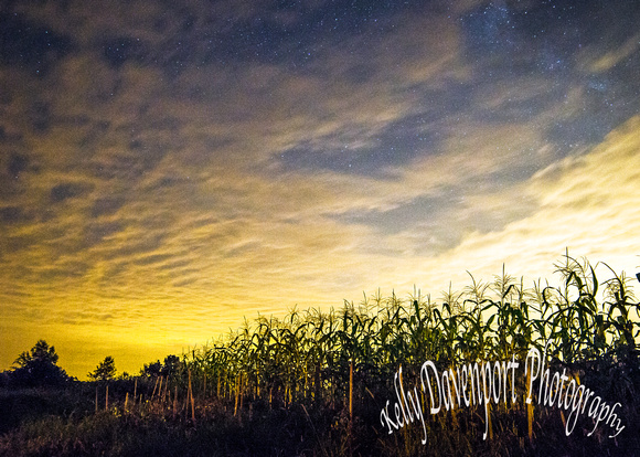 Dusk Sweeps over Corn Field in Owen Co 11x14 by Kelly Davenport-DSC_0322