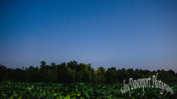 Perseid Meteor Shower Over Starlight Indiana by Kelly Davenport-DSC_6669-2