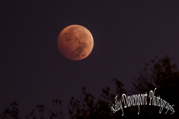 Blood Moon Eclipse Louisville-DSC_9186