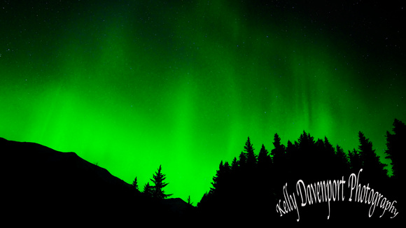 Green Northern Lights of Alaska-1281