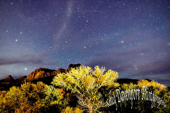 Stars Over Zion National Park-2