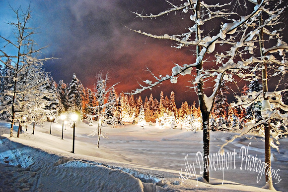 Winter Wonderland - Girdwood, Alaska-0094-3