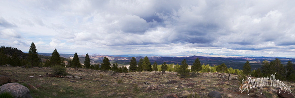 Mountaintop View Panorama by Kelly Davenport