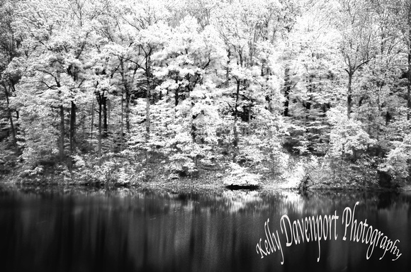 1IR Jefferson Memorial Forest by Kelly Davenport-DSC_6323-Kelly Davenport
