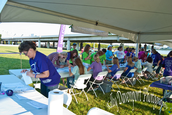 Walk to End Alzheimers 2013-0608