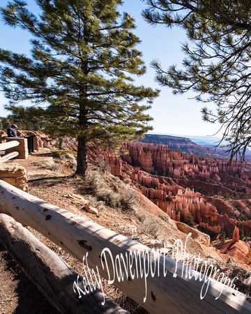 Bryce Canyon Viewpoint by Kelly Davenport_KRD4753