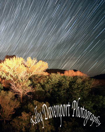 Startrails Over Zion_8 x10 by Kelly Davenport