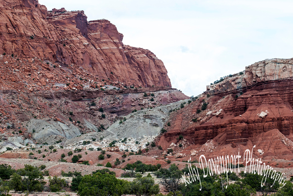 It's the Earth's Fault - Capitol Reef National Park_DSC_1283