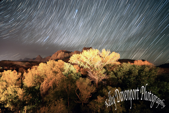 Startrails Over Zion_4x6 by Kelly Davenport