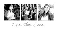 Alyssa Collage Monochrome 10x20