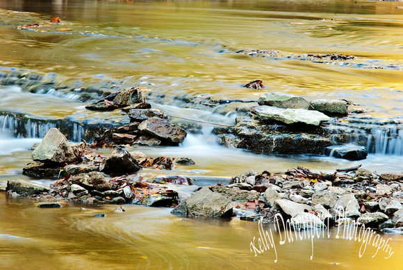 Golden Waters of Beargrass Creek by Kelly Davenport-0159