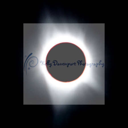 20x20 Totality Solar Corona Kelly Davenport DSC_7945