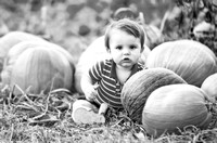 Aiden Almost One in the Pumpkin Patch Monochrome