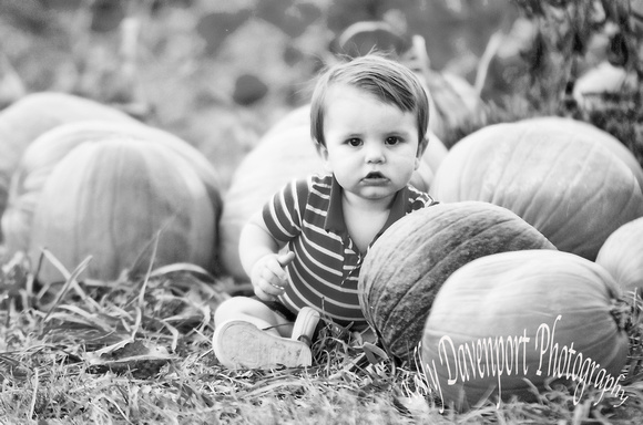 Aiden Almost One in the Pumpkin Patch Monochrome