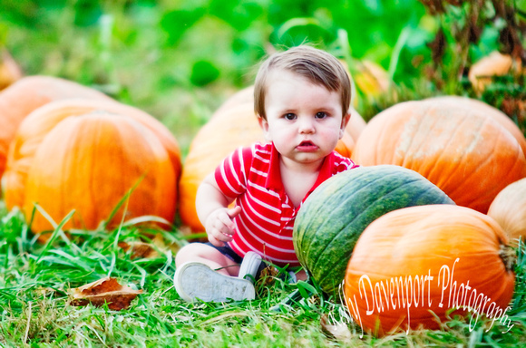 Aiden Almost One in the Pumpkin Patch_-2