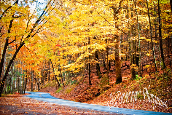 Fall in the Great Smoky Mountains-0236