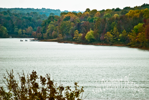PhotoScenic Kentucky Barren River Lake 2014-0245