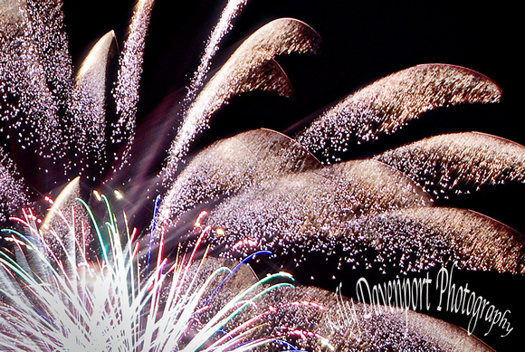 Flowering Fireworks-0433