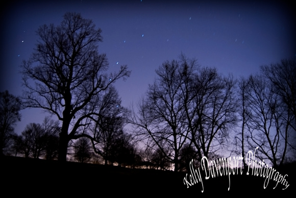 A Winter's Night in Louisville's Cherokee Park-0037