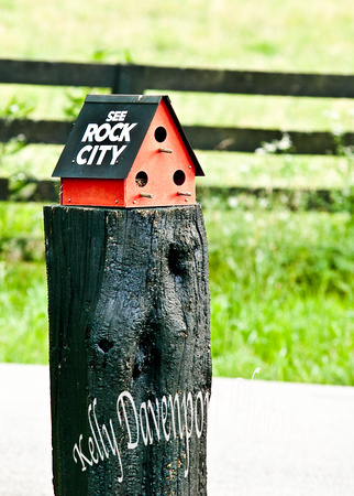 See Rock City Birdhouse Harrodsburg-0107