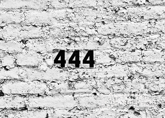Monochrome Abandoned 444 Harrodsburg