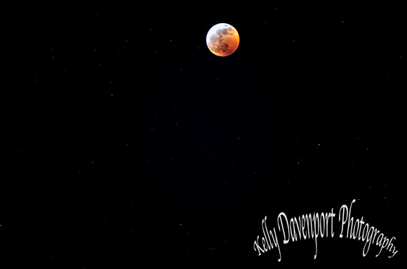 Super Blood Wolf Moon Lunar Eclipse 2019 DSC_9669