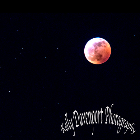 Super Blood Wolf Moon Eclipse Square 2019 DSC_9686