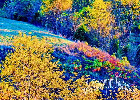 Fall Colors Owen County KY by Kelly Davenport-6734
