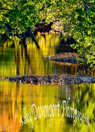 Reflections Floyds Fork Broad Run Park Ky by Kelly Davenport-8147