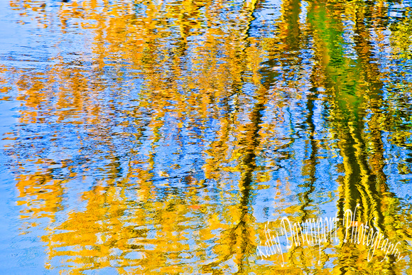 Reflections Floyds Fork Broad Run Park Ky by Kelly Davenport-8156