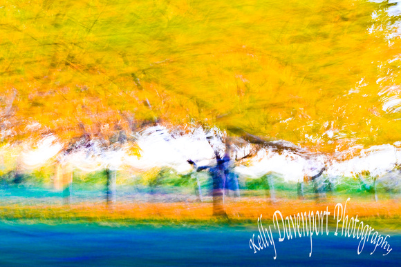 Abstract Fall Orchards Borden Indiana by Kelly Davenport-6264