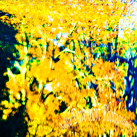Abstract Reflections Charlie Vettiner Park KY 2019 by Kelly Davenport-7985