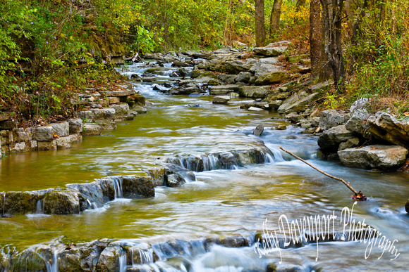 Cove Spring Park Frankfort by Kelly Davenport-6520