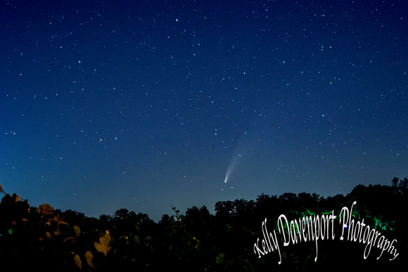 Comet Neowise Over Vineyard 2020 DSC_7135