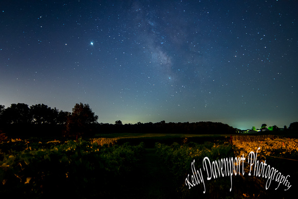 Milky Way Over Vineyards By Kelly Davenport 7150