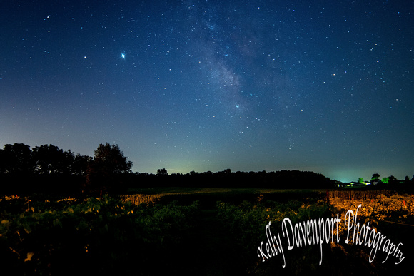 Milky Way Over Vineyards By Kelly Davenport