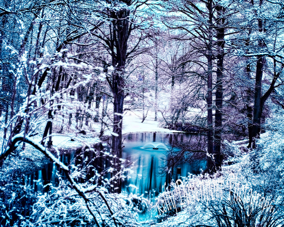 Winter Serenity at Cave Hill - IR Hoya Filter - Louisville, Ky.-2-5