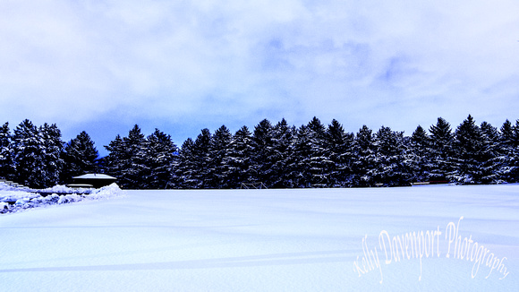 Snowy Twilight Over Joe Creason Park