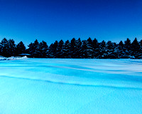 Glistening Snow at Dawn Joe Creason Park-DSC_5170