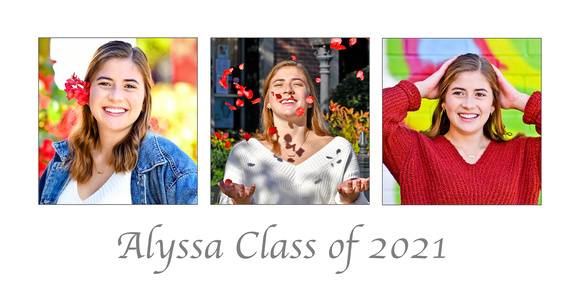 Alyssa Collage 10x20