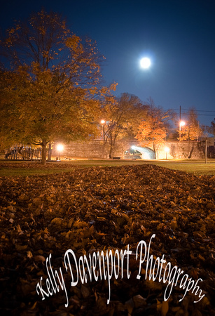 Moonrise Tyler Park