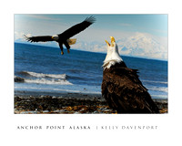 ANCHOR POINT EAGELS