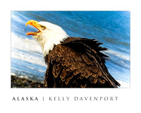 ALASKA EAGLE Poster