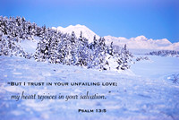 Winter Wonderland Psalm 13-5-5