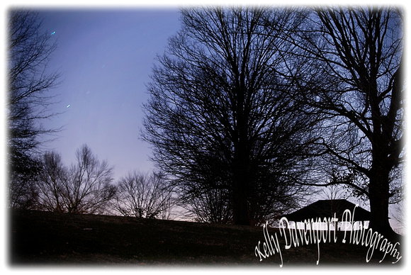 A Winter's Night in Louisville's Cherokee Park-2