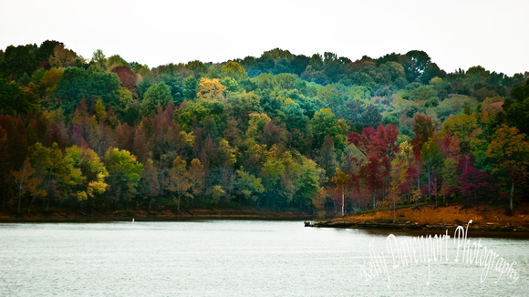 PhotoScenic Kentucky Barren River Lake 2014-0244