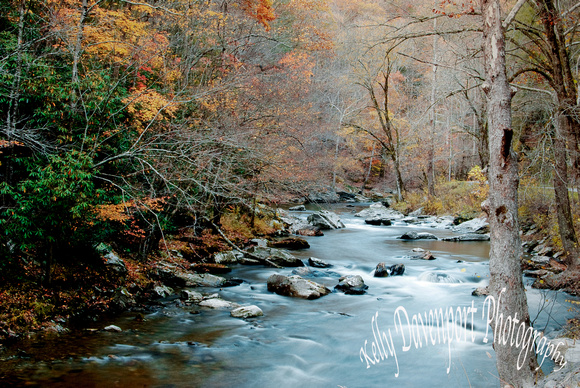 Fall in the Great Smoky Mountains-0476