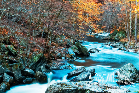 Fall in the Great Smoky Mountains-0514
