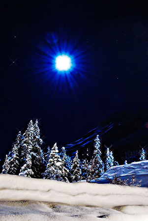 Winter Wonderland - Girdwood, Alaska-0136